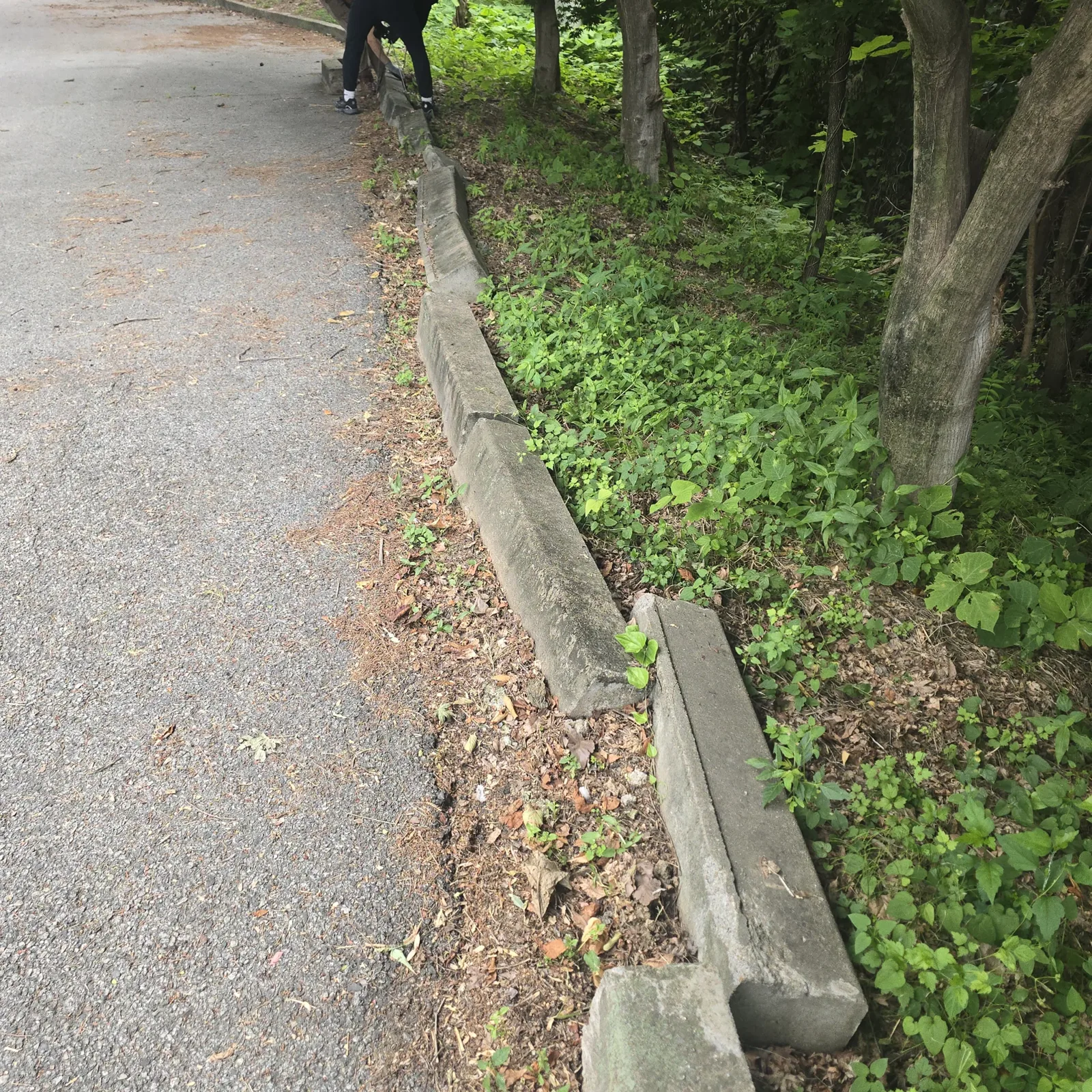 벌어진 화단석·경계석 보강 — 기울고 벌어진 화단 경계석